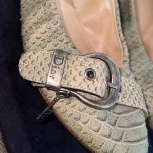Dior ballet shoes, python
